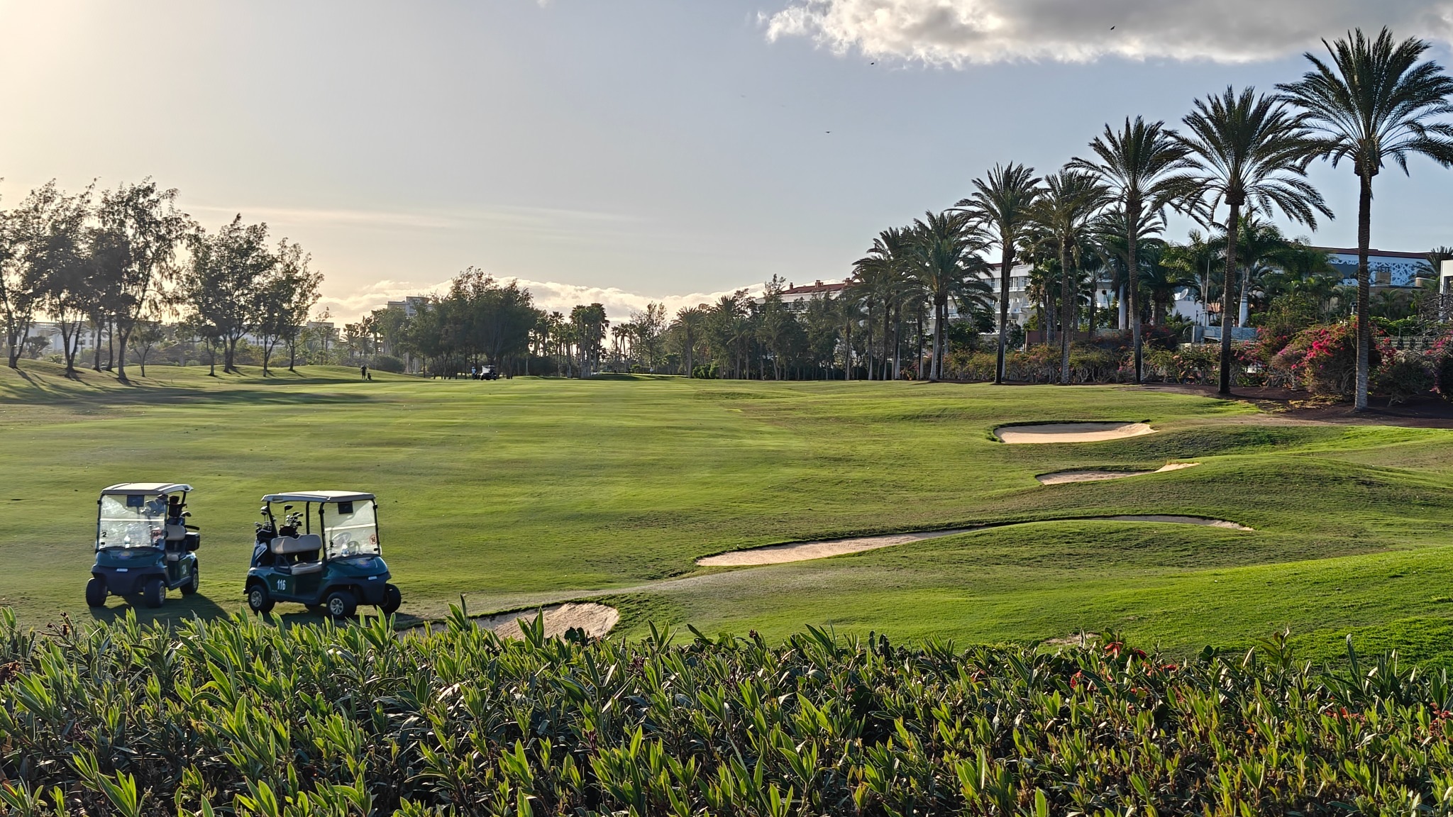 Golf course with buggies and palm trees in Golf del Sur