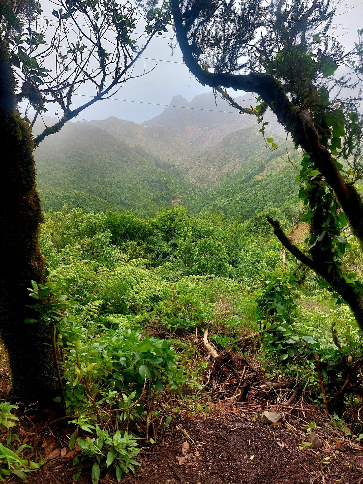 Anaga Rural Park
